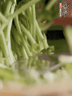 新鮮豌豆苗割下洗凈。